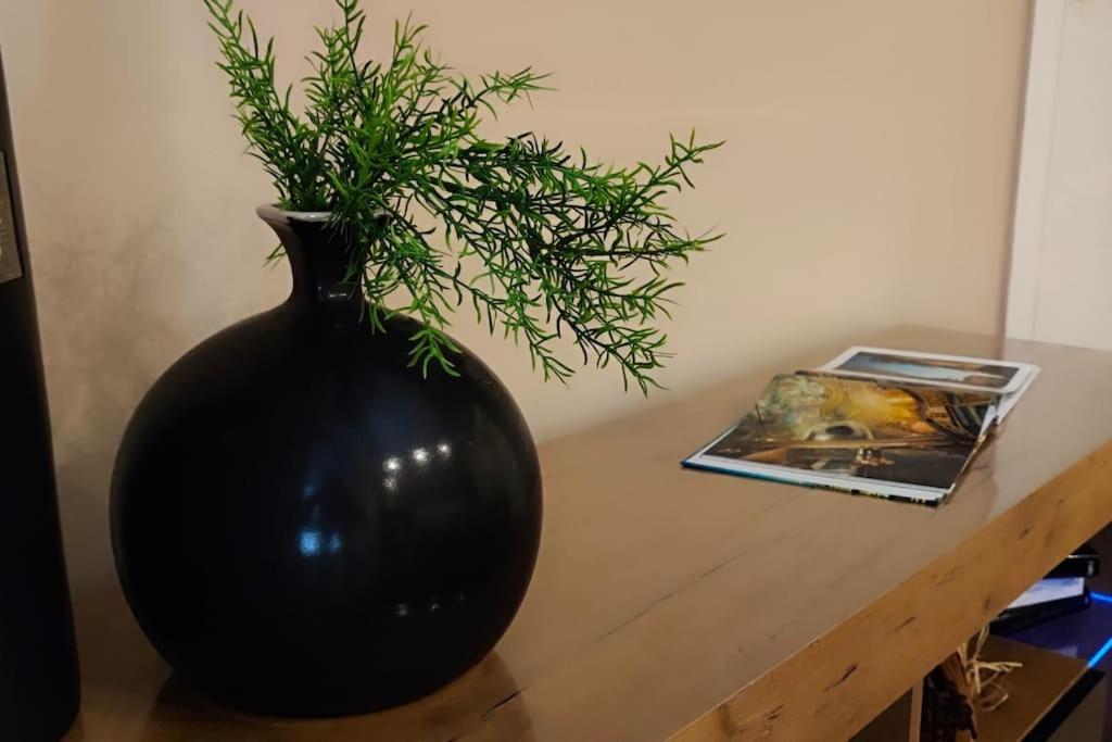 Casa Relax - 500 Mt. Dal Centro * Turin